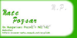 mate pozsar business card